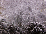 last of the winters